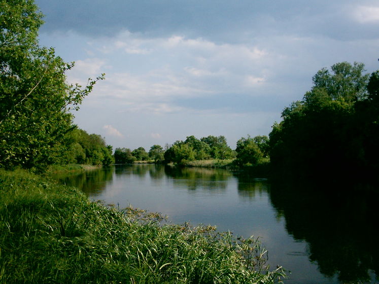 У Вінницькій області в річку потрапила тонна інсектицидів, хімікати рухаються до Київської області