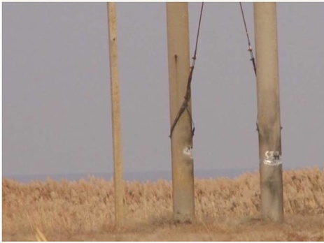 Координатор блокады Крыма Ислямов: Активисты будут препятствовать ремонту электроопоры на Херсонщине