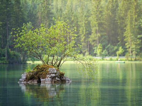 В собственность государства вернули остров в Киевской области стоимостью 430 млн грн – прокуратура