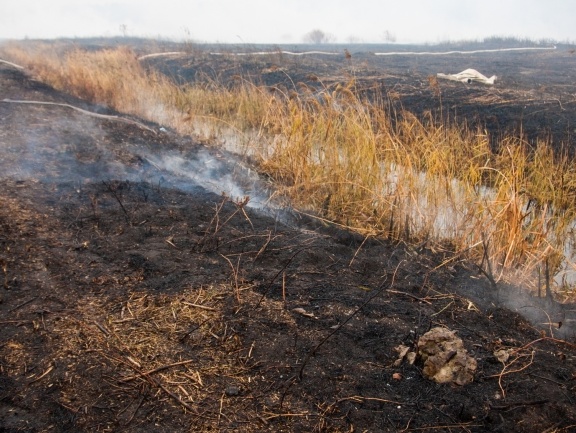 Госслужба по ЧС: Вокруг Киева продолжается тушение 107 гектаров торфяников