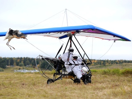 Путин: Я – голубь, но с железными крыльями