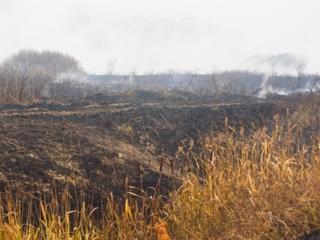 Площадь горящих торфяников под Киевом уменьшилась до 95 га