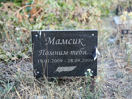 Российский дизайнер Лебедев высмеял киевское кладбище для домашних животных. Фоторепортаж