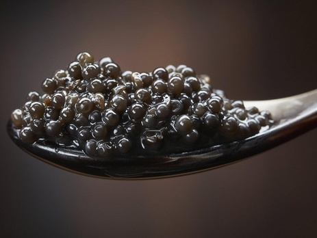 В Хабаровске полиция изъяла полтонны черной икры у водителя катафалка