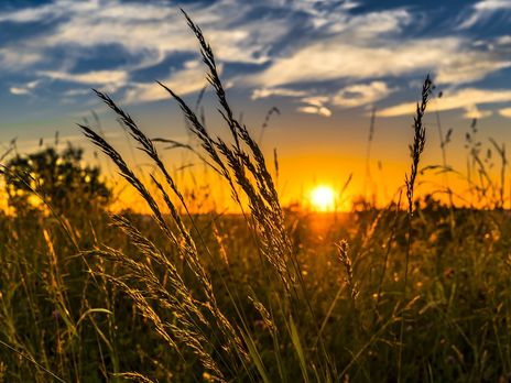 ﻿У вихідні в Україні буде до +35 °C, дощі пройдуть лише на півночі й заході країни – синоптик