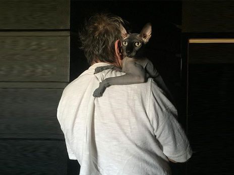 Кот Алибасова нашелся 