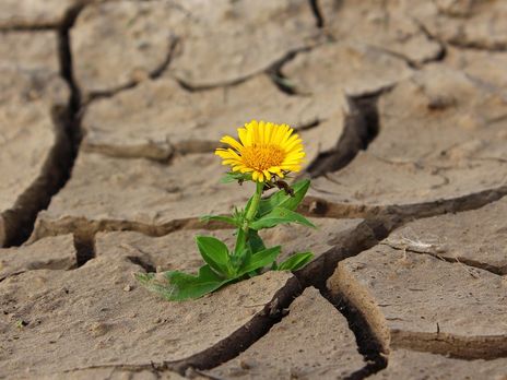 Синоптик: Жара не сдается. 16 июня в Украине +35 °C. Кому повезет – +29 °C