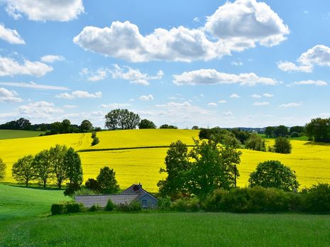 В Укргидрометцентре предупредили о дождях с грозами