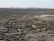 Спасатели обследуют зону эпицентра взрыва на складах в Сватово. Фоторепортаж
