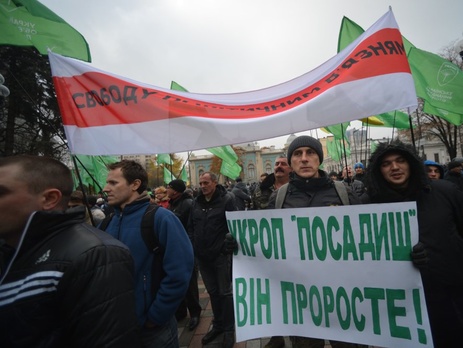 Укроп посадиш – він проросте: митинг в Киеве в поддержку Корбана. Фоторепортаж