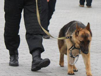 Харьковскую ОГА эвакуируют в связи с сообщением о минировании