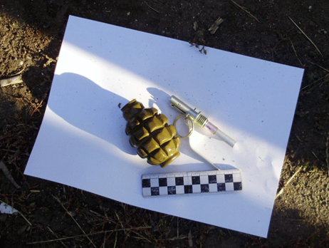 Журналист Даниленко: Во двор дома адвоката прокурора Шапакина бросили гранаты