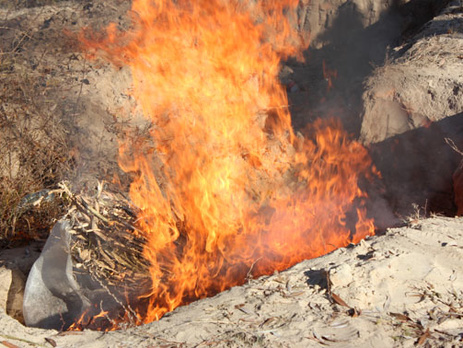 В Донецкой области полиция уничтожила 100 кг наркотиков на сумму 1,5 млн грн. Фоторепортаж