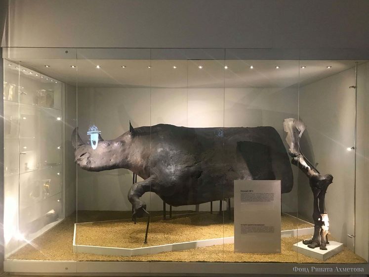 ﻿Повернення доісторичних велетнів: унікальну виставку відкривають у Львові