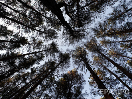 Рада намерена усовершенствовать природоохранное законодательство