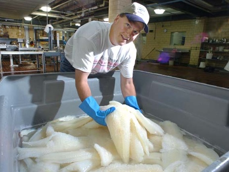 Печенье с пчелами, гнилой сыр, 