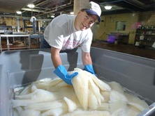 Печенье с пчелами, гнилой сыр, 