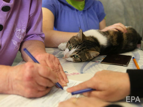 ЦИК утвердил форму и текст избирательных бюллетеней на выборах в Раду