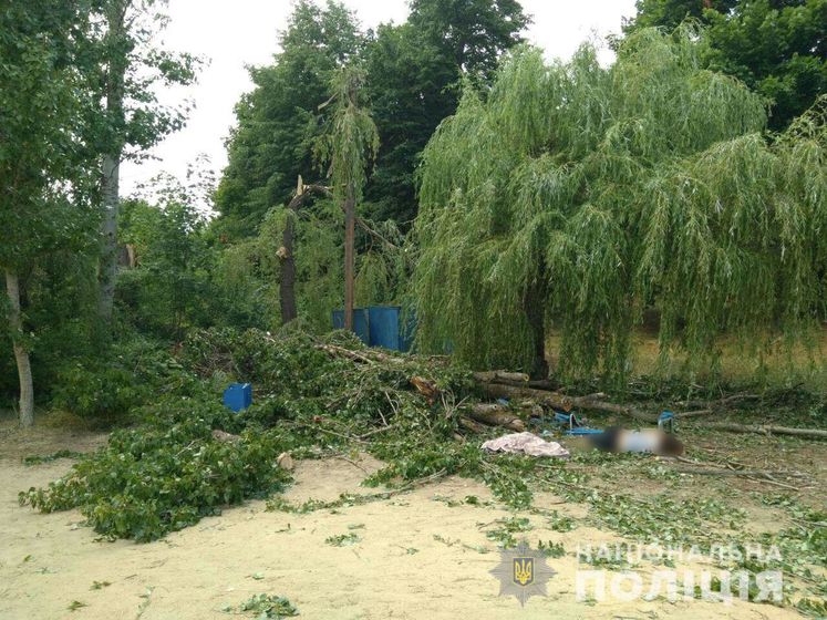 На базе отдыха в Харьковской области на людей упало дерево, погибла женщина – полиция