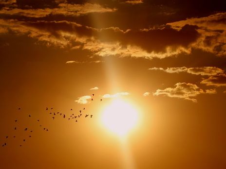 В Европе от жары умерло восемь человек