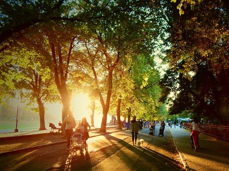 Июль в Украине начнется с возвращения жары – синоптик