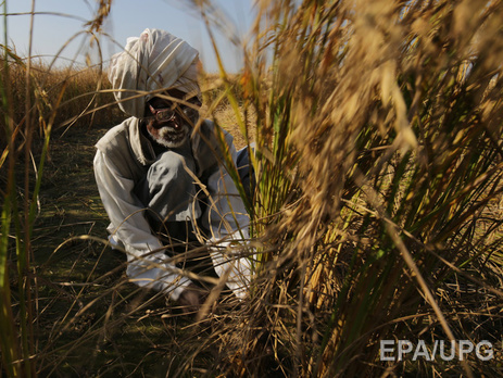 Госдепартамент США: Треть продуктов питания в мире теряется или выбрасывается. Это около 1,3 млрд тонн в год