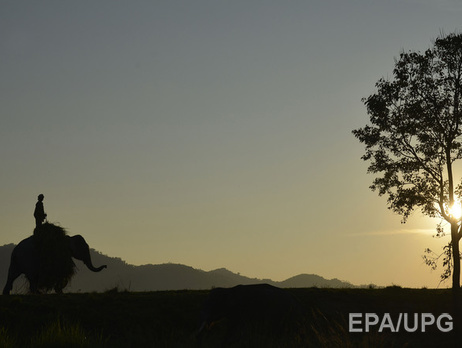 Ростуризм опроверг информацию о небезопасности отдыха на Гоа