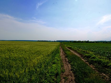 4 июля в Украине +21…+26 °C, даже с юга сильная жара уйдет – синоптик