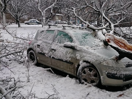 В Харькове выпала половина месячной нормы осадков, повалено более 500 деревьев. Фоторепортаж