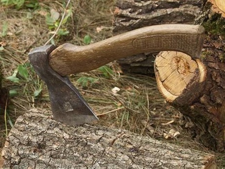 В Винницкой области госпредприятие незаконно вырубило более 14 га национального парка