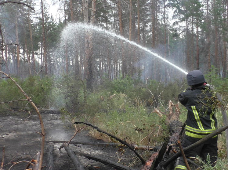 Пожар в заминированном лесу возле Станицы Луганской ликвидирован &ndash; ГСЧС
