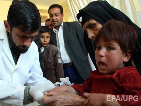  Daily Mail: Сирию атаковали плотоядные жуки из-за массовых убийств ИГИЛ