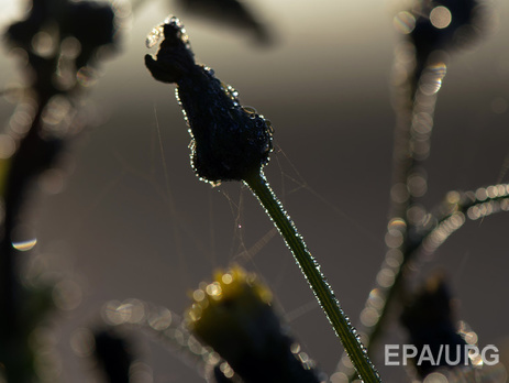 В Украине в начале недели сохранится теплая погода