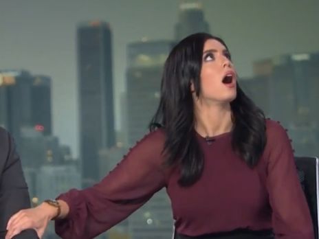 Ведущие американского телеканала в прямом эфире спрятались под стол из-за землетрясения. Видео