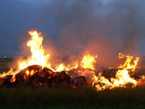 На полигоне под Николаевом четверо военнослужащих пострадали от пожара