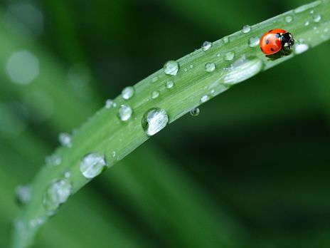 Синоптик: На следующей неделе в большинстве областей Украины действительно будет холодно как для июля