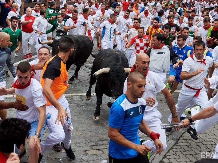 В Испании прошел забег с быками, есть пострадавшие. Видео
