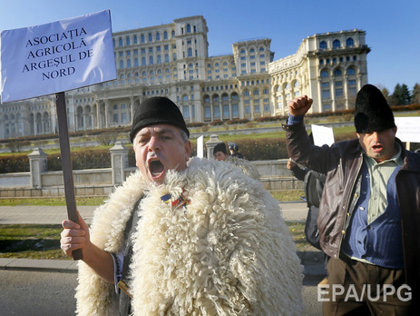 Овцеводы ворвались в румынский парламент, требуя отмены ограничений количества пастушьих собак
