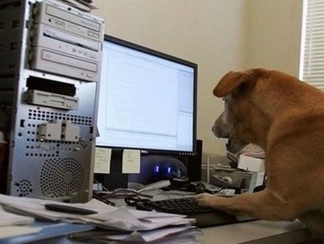 Нацкомиссия по связи требует фиксировать в договорах интернет-провайдеров с абонентами минимальную скорость доступа к сети