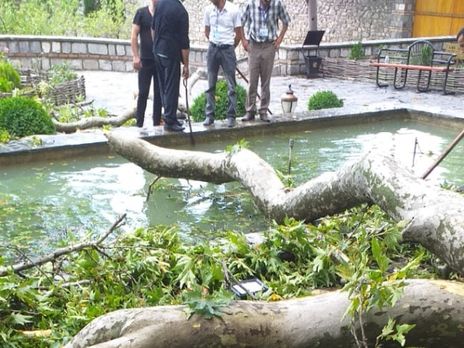 ﻿В Азербайджані зламана гілка дерева травмувала 19 туристів