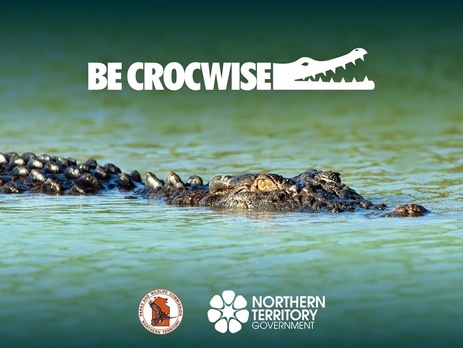 Жителей севера Австралии предупредили о повышенной крокодилоопасности
