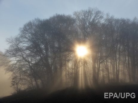 На шоссе в Германии из-за тумана столкнулись 24 машины, один человек погиб