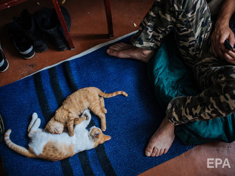 Боевики на Донбассе 22 июля придерживались перемирия – штаб операции Объединенных сил