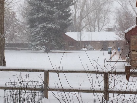 Вооруженные люди захватили штаб-квартиру заповедника в США