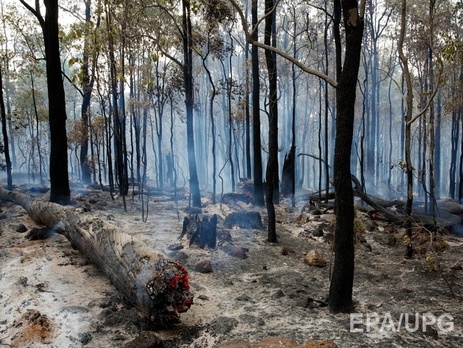 В Австралии из-за лесных пожаров полностью сгорел небольшой город