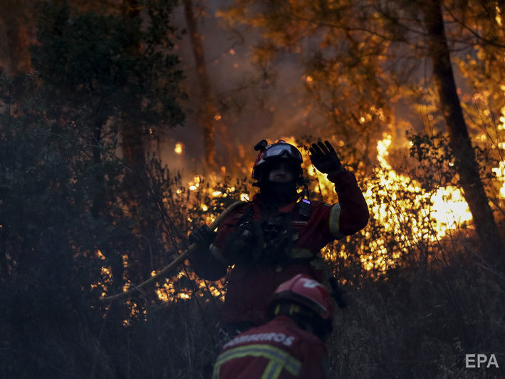 В Хорватии пожарные тушили лесной пожар, есть пострадавшие