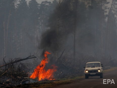 Greenpeace: Ситуація з лісовими пожежами у РФ перетворилася на екологічну катастрофу