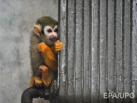 КГГА: Из-за похолодания необходимо обеспечить температуру в квартирах киевлян не ниже 18 °С