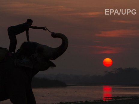 ООН: В 2015 году количество туристов увеличилось до 1,2 млрд человек