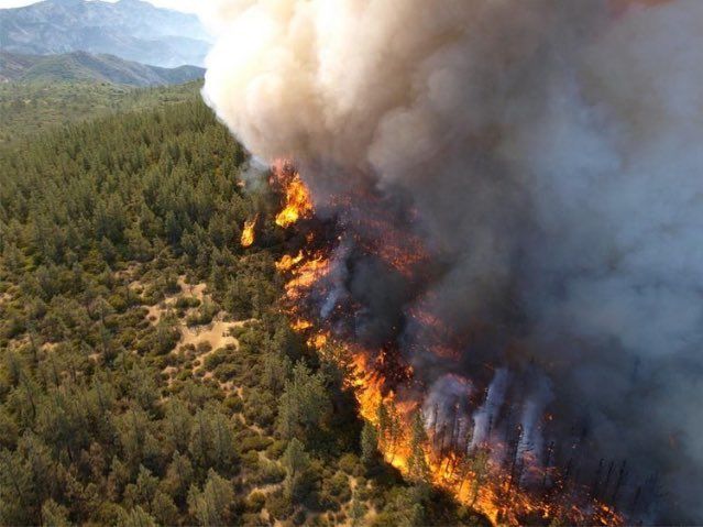 Трамп предложил Путину помощь в борьбе с лесными пожарами